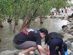 -宝安西湾红树林湿地公园