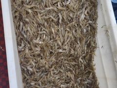 -正宗天津烧麦馆(柳州路店)