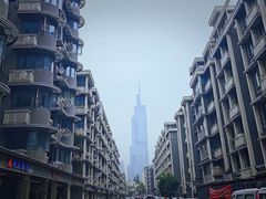 -紫峰大厦