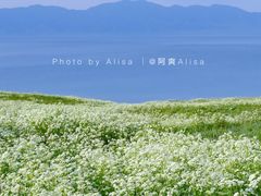-赛里木湖风景名胜区