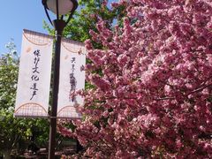 -元大都城垣遗址公园