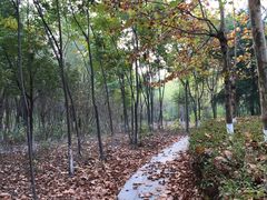-江南大学(蠡湖校区)