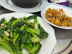 -鸽鸟轩(石岐店)