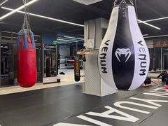 -臻元搏击格斗泰拳拳馆(港隆店)