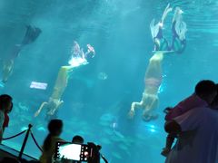 -福州罗源湾海洋世界旅游区