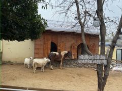 -HERRE·FARM 赫尔露营农场·团建聚会包场