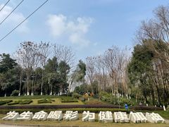 -重庆彩云湖湿地公园