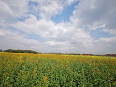 -中国天府农业博览园