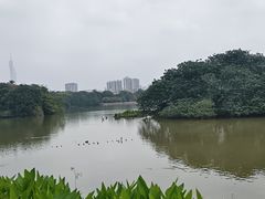 -海珠湖公园