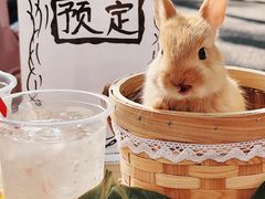 -大象厨房(重庆道店)