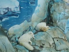 -泉城欧乐堡海洋极地世界