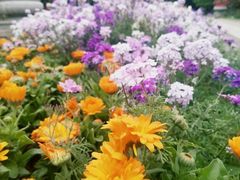 -睦南公园