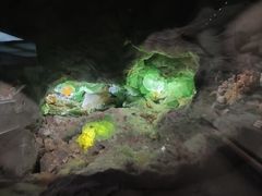 -湖南省地质博物馆