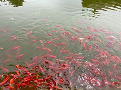 -河北村民俗体验园