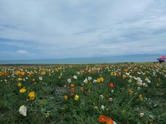-青海湖国家重点风景名胜区