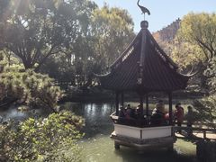 -上海醉白池公园
