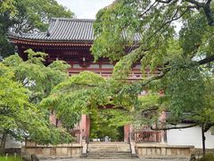 -醍醐寺