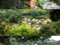 -杨家堂村