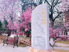 -桃花堤公园
