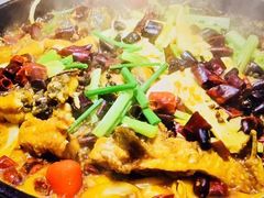 -老板恋上鱼(恒隆广场店)