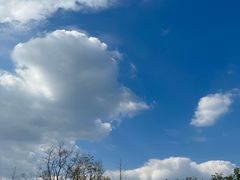 -两河城市森林公园