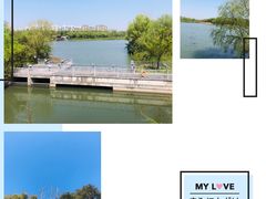 -昆山城市生态森林公园