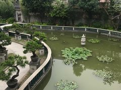 -碧江金楼