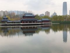 -雁滩公园