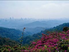 -广州市白云山风景名胜区
