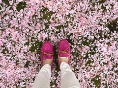 -苏州河梦清园环保主题公园