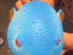 -永安鱼庄·镇江菜(东吴路店)