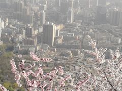 -皋兰山