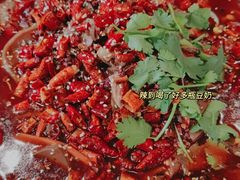 -蓉城小厨·四川味道(浙港国际店)