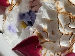 -IPSTAR|潮玩星球(天府广场店)