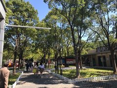 -吴淞炮台湾湿地森林公园烧烤区