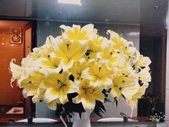 -农汤老店(顺联公园里店)