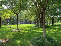 -华东政法大学(松江校区)
