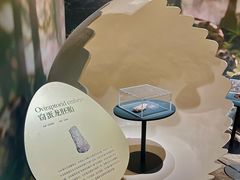 -遇见博物馆(遇见海洋沉浸式奇幻光影展)