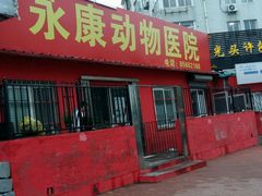 -永康动物医院