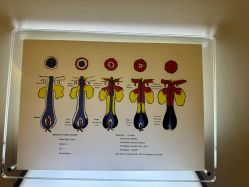 -史云逊养发护发