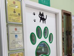 -瑞鹏宠物医院·夜间急症·心超·猫科(祖庙分店)