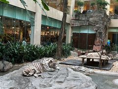 -白虎自助餐厅·真老虎·景观自助餐厅(广州长隆酒店)