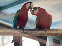 -济南野生动物世界