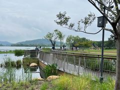-渤公岛生态公园