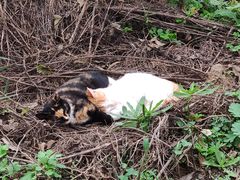 -潭柘厚院(桑峪村店)