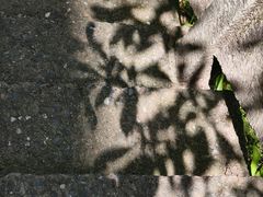 -崀山风景名胜区
