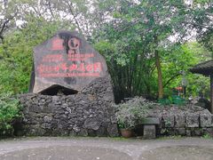 -海口火山口国家地质公园