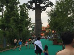 -苏州乐园森林水世界