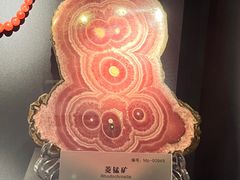 -湖南省地质博物馆