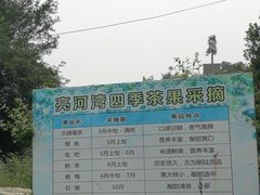 -亮河湾山庄
